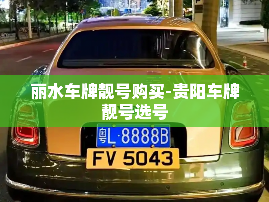 丽水车牌靓号购买-贵阳车牌靓号选号-第3张图片-七号汽车选号 丽水车牌靓号购买-贵阳车牌靓号选号-第3张图片-七号汽车选号