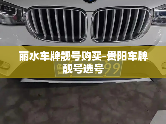 丽水车牌靓号购买-贵阳车牌靓号选号-第4张图片-七号汽车选号 丽水车牌靓号购买-贵阳车牌靓号选号-第4张图片-七号汽车选号