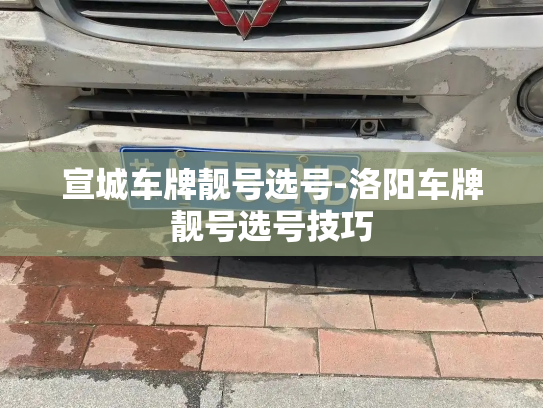 宣城车牌靓号选号-洛阳车牌靓号选号技巧-第3张图片-七号汽车选号 宣城车牌靓号选号-洛阳车牌靓号选号技巧-第3张图片-七号汽车选号