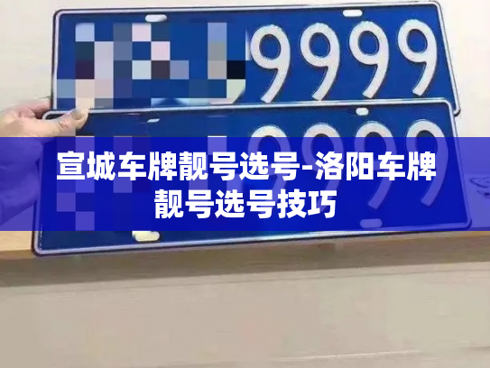 宣城车牌靓号选号-洛阳车牌靓号选号技巧-第4张图片-七号汽车选号 宣城车牌靓号选号-洛阳车牌靓号选号技巧-第4张图片-七号汽车选号