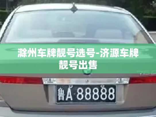 滁州车牌靓号选号-济源车牌靓号出售-第4张图片-七号汽车选号 滁州车牌靓号选号-济源车牌靓号出售-第4张图片-七号汽车选号