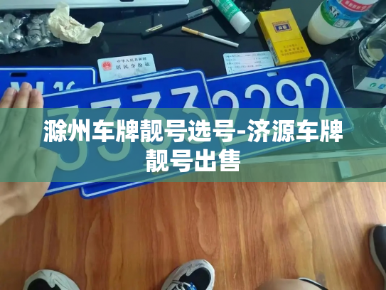 滁州车牌靓号选号-济源车牌靓号出售-第2张图片-七号汽车选号 滁州车牌靓号选号-济源车牌靓号出售-第2张图片-七号汽车选号