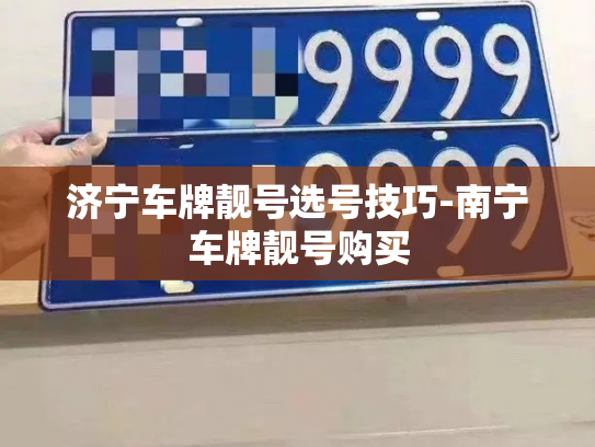 济宁车牌靓号选号技巧-南宁车牌靓号购买-第4张图片-七号汽车选号