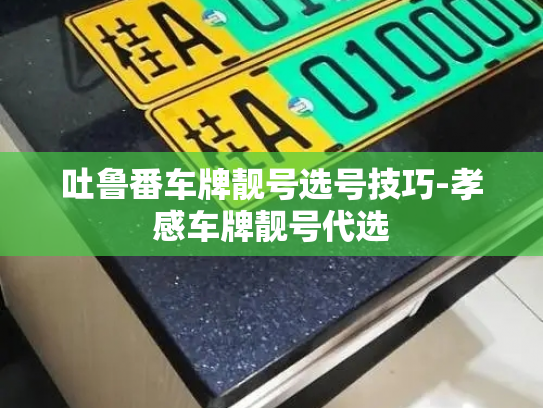 吐鲁番车牌靓号选号技巧-孝感车牌靓号代选-第3张图片-七号汽车选号 吐鲁番车牌靓号选号技巧-孝感车牌靓号代选-第3张图片-七号汽车选号