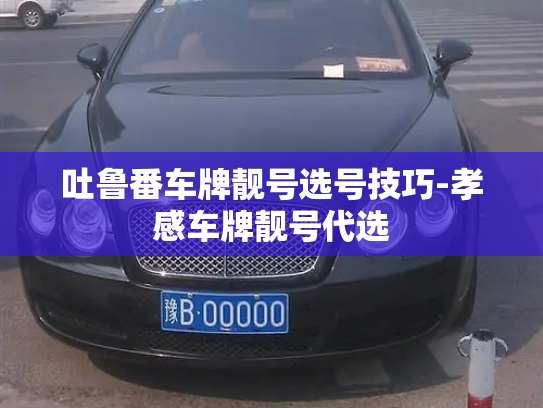吐鲁番车牌靓号选号技巧-孝感车牌靓号代选-第4张图片-七号汽车选号 吐鲁番车牌靓号选号技巧-孝感车牌靓号代选-第4张图片-七号汽车选号