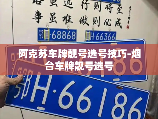 阿克苏车牌靓号选号技巧-烟台车牌靓号选号-第3张图片-七号汽车选号