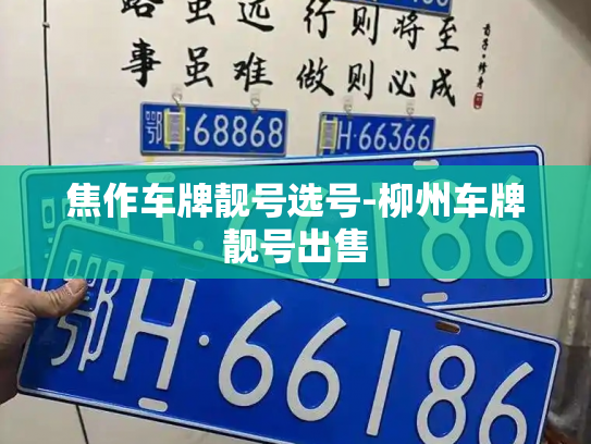 焦作车牌靓号选号-柳州车牌靓号出售-第3张图片-七号汽车选号 焦作车牌靓号选号-柳州车牌靓号出售-第3张图片-七号汽车选号