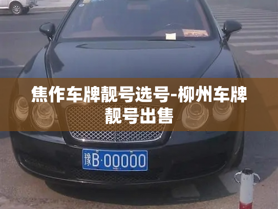 焦作车牌靓号选号-柳州车牌靓号出售-第2张图片-七号汽车选号 焦作车牌靓号选号-柳州车牌靓号出售-第2张图片-七号汽车选号