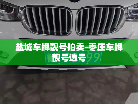 盐城车牌靓号拍卖-枣庄车牌靓号选号-第4张图片-七号汽车选号