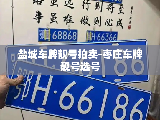 盐城车牌靓号拍卖-枣庄车牌靓号选号-第2张图片-七号汽车选号