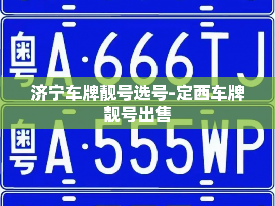 济宁车牌靓号选号-定西车牌靓号出售-第3张图片-七号汽车选号 济宁车牌靓号选号-定西车牌靓号出售-第3张图片-七号汽车选号