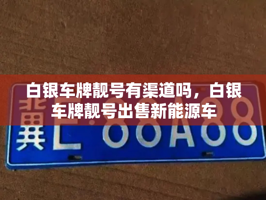 白银车牌靓号有渠道吗，白银车牌靓号出售新能源车-第2张图片-七号汽车选号