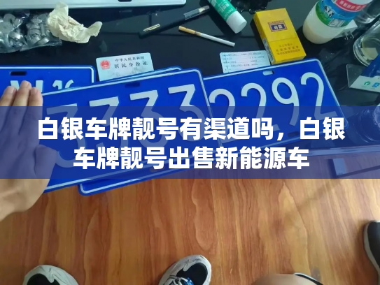 白银车牌靓号有渠道吗，白银车牌靓号出售新能源车-第3张图片-七号汽车选号