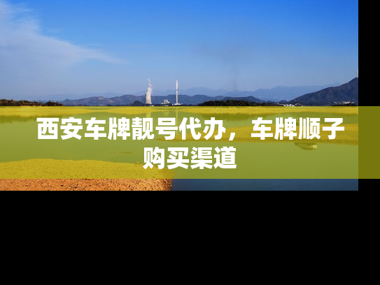 西安车牌靓号代办，车牌顺子购买渠道