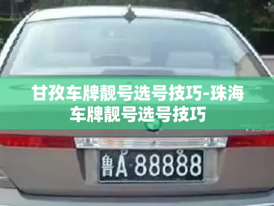 甘孜车牌靓号选号技巧-珠海车牌靓号选号技巧-第3张图片-七号汽车选号 甘孜车牌靓号选号技巧-珠海车牌靓号选号技巧-第3张图片-七号汽车选号