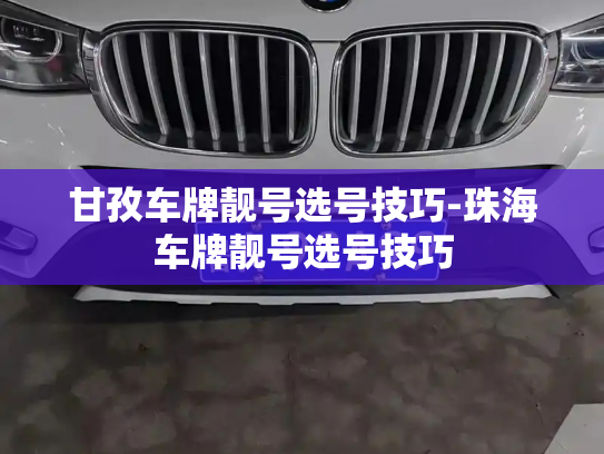 甘孜车牌靓号选号技巧-珠海车牌靓号选号技巧-第4张图片-七号汽车选号 甘孜车牌靓号选号技巧-珠海车牌靓号选号技巧-第4张图片-七号汽车选号