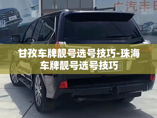甘孜车牌靓号选号技巧-珠海车牌靓号选号技巧-第2张图片-七号汽车选号 甘孜车牌靓号选号技巧-珠海车牌靓号选号技巧-第2张图片-七号汽车选号