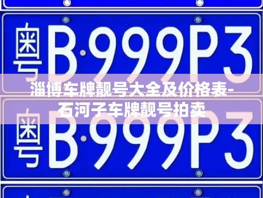 淄博车牌靓号大全及价格表-石河子车牌靓号拍卖-第3张图片-七号汽车选号