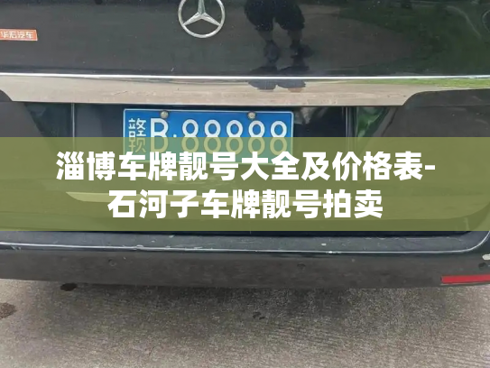 淄博车牌靓号大全及价格表-石河子车牌靓号拍卖-第2张图片-七号汽车选号