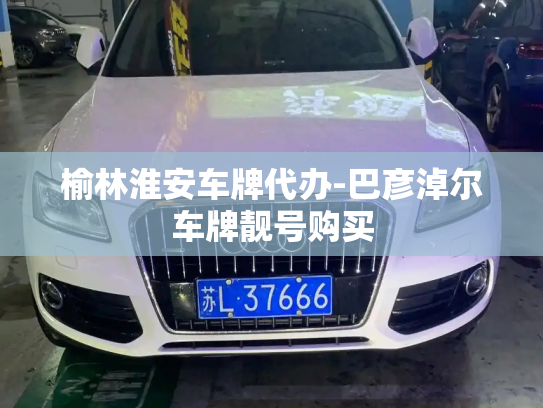 榆林淮安车牌代办-巴彦淖尔车牌靓号购买-第4张图片-七号汽车选号