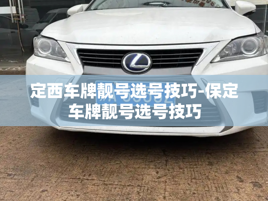 定西车牌靓号选号技巧-保定车牌靓号选号技巧-第4张图片-七号汽车选号 定西车牌靓号选号技巧-保定车牌靓号选号技巧-第4张图片-七号汽车选号