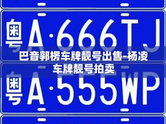 巴音郭楞车牌靓号出售-杨凌车牌靓号拍卖-第3张图片-七号汽车选号 巴音郭楞车牌靓号出售-杨凌车牌靓号拍卖-第3张图片-七号汽车选号