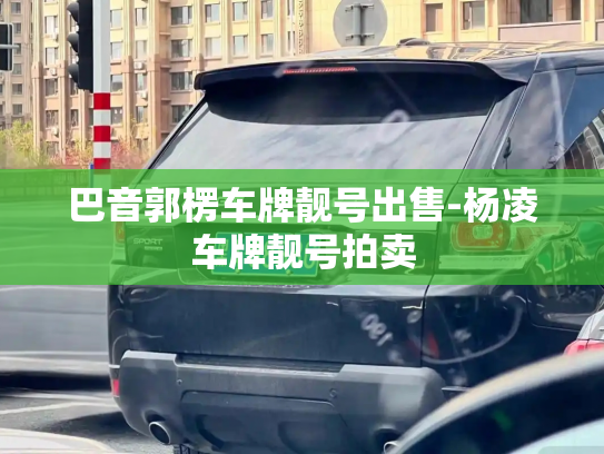 巴音郭楞车牌靓号出售-杨凌车牌靓号拍卖-第2张图片-七号汽车选号 巴音郭楞车牌靓号出售-杨凌车牌靓号拍卖-第2张图片-七号汽车选号