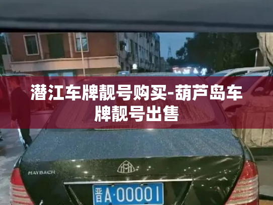 潜江车牌靓号购买-葫芦岛车牌靓号出售-第3张图片-七号汽车选号 潜江车牌靓号购买-葫芦岛车牌靓号出售-第3张图片-七号汽车选号