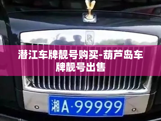 潜江车牌靓号购买-葫芦岛车牌靓号出售-第4张图片-七号汽车选号 潜江车牌靓号购买-葫芦岛车牌靓号出售-第4张图片-七号汽车选号