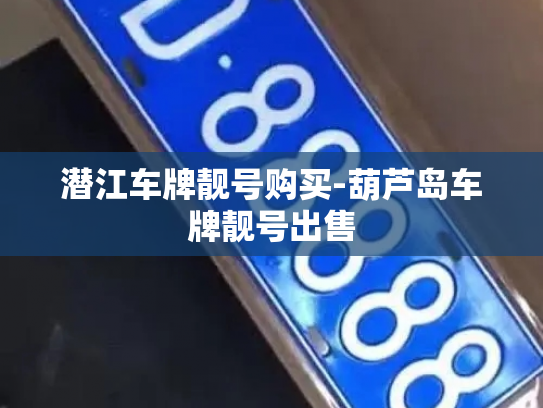 潜江车牌靓号购买-葫芦岛车牌靓号出售-第2张图片-七号汽车选号 潜江车牌靓号购买-葫芦岛车牌靓号出售-第2张图片-七号汽车选号