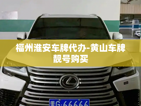 福州淮安车牌代办-黄山车牌靓号购买-第4张图片-七号汽车选号 福州淮安车牌代办-黄山车牌靓号购买-第4张图片-七号汽车选号