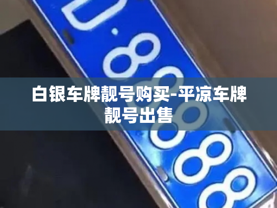 白银车牌靓号购买-平凉车牌靓号出售-第3张图片-七号汽车选号 白银车牌靓号购买-平凉车牌靓号出售-第3张图片-七号汽车选号