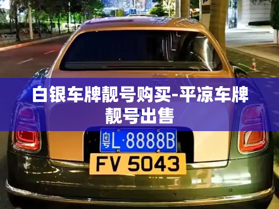 白银车牌靓号购买-平凉车牌靓号出售-第4张图片-七号汽车选号 白银车牌靓号购买-平凉车牌靓号出售-第4张图片-七号汽车选号