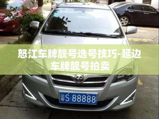 怒江车牌靓号选号技巧-延边车牌靓号拍卖-第3张图片-七号汽车选号 怒江车牌靓号选号技巧-延边车牌靓号拍卖-第3张图片-七号汽车选号