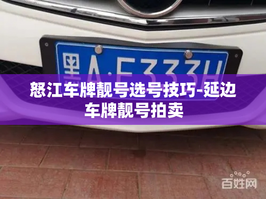 怒江车牌靓号选号技巧-延边车牌靓号拍卖-第4张图片-七号汽车选号 怒江车牌靓号选号技巧-延边车牌靓号拍卖-第4张图片-七号汽车选号