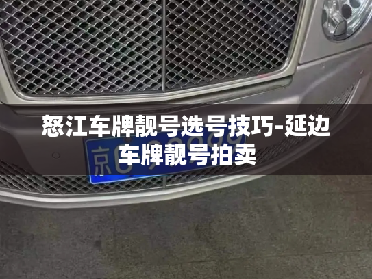 怒江车牌靓号选号技巧-延边车牌靓号拍卖-第2张图片-七号汽车选号 怒江车牌靓号选号技巧-延边车牌靓号拍卖-第2张图片-七号汽车选号