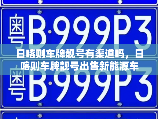 日喀则车牌靓号有渠道吗，日喀则车牌靓号出售新能源车-第3张图片-七号汽车选号
