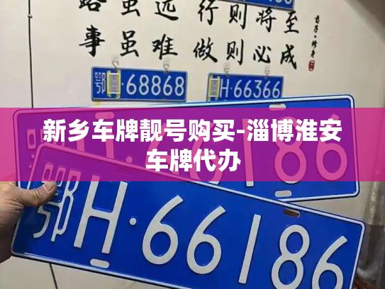 新乡车牌靓号购买-淄博淮安车牌代办-第3张图片-七号汽车选号