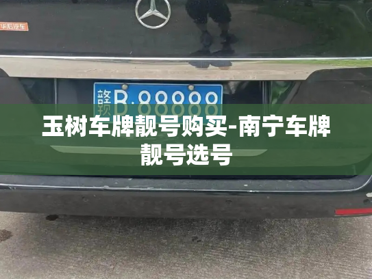 玉树车牌靓号购买-南宁车牌靓号选号-第3张图片-七号汽车选号 玉树车牌靓号购买-南宁车牌靓号选号-第3张图片-七号汽车选号