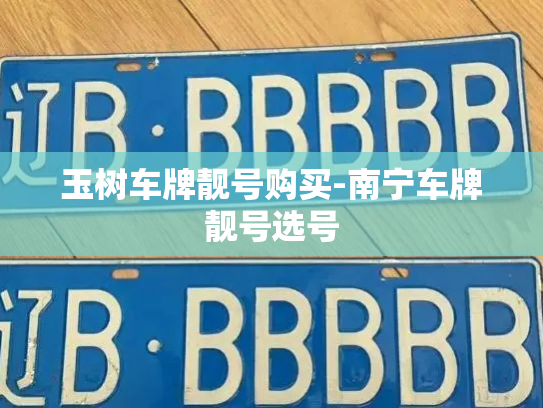 玉树车牌靓号购买-南宁车牌靓号选号-第4张图片-七号汽车选号 玉树车牌靓号购买-南宁车牌靓号选号-第4张图片-七号汽车选号