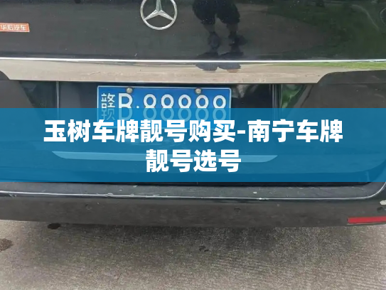 玉树车牌靓号购买-南宁车牌靓号选号-第2张图片-七号汽车选号 玉树车牌靓号购买-南宁车牌靓号选号-第2张图片-七号汽车选号