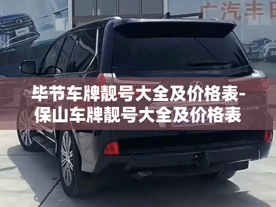 毕节车牌靓号大全及价格表-保山车牌靓号大全及价格表-第3张图片-七号汽车选号 毕节车牌靓号大全及价格表-保山车牌靓号大全及价格表-第3张图片-七号汽车选号