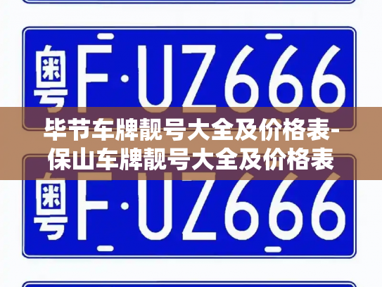 毕节车牌靓号大全及价格表-保山车牌靓号大全及价格表-第2张图片-七号汽车选号 毕节车牌靓号大全及价格表-保山车牌靓号大全及价格表-第2张图片-七号汽车选号