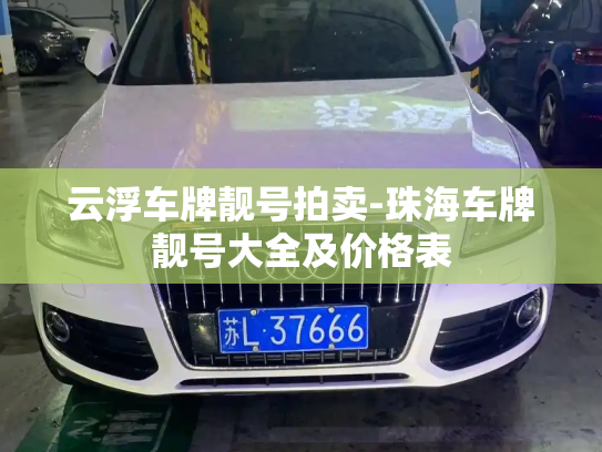 云浮车牌靓号拍卖-珠海车牌靓号大全及价格表-第2张图片-七号汽车选号 云浮车牌靓号拍卖-珠海车牌靓号大全及价格表-第2张图片-七号汽车选号