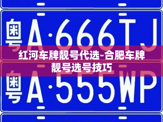 红河车牌靓号代选-合肥车牌靓号选号技巧-第3张图片-七号汽车选号