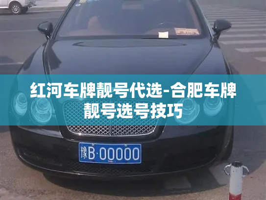 红河车牌靓号代选-合肥车牌靓号选号技巧-第4张图片-七号汽车选号