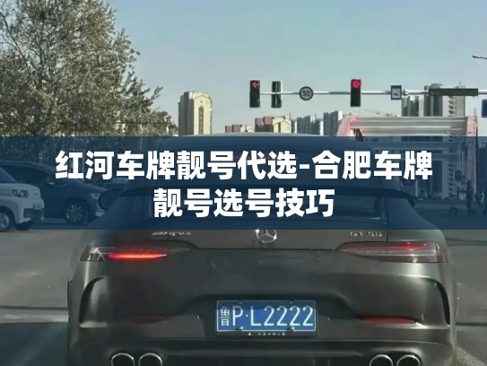 红河车牌靓号代选-合肥车牌靓号选号技巧-第2张图片-七号汽车选号