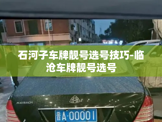 石河子车牌靓号选号技巧-临沧车牌靓号选号-第3张图片-七号汽车选号 石河子车牌靓号选号技巧-临沧车牌靓号选号-第3张图片-七号汽车选号