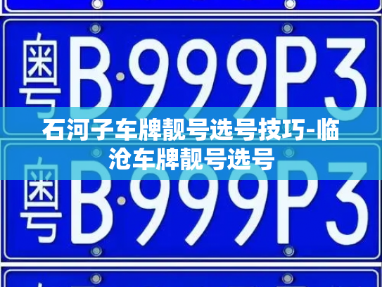 石河子车牌靓号选号技巧-临沧车牌靓号选号-第4张图片-七号汽车选号 石河子车牌靓号选号技巧-临沧车牌靓号选号-第4张图片-七号汽车选号