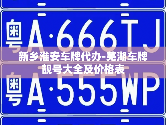 新乡淮安车牌代办-芜湖车牌靓号大全及价格表-第4张图片-七号汽车选号